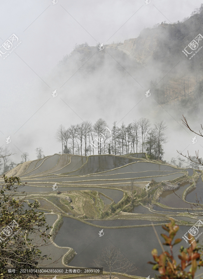 水墨梯田自然风光