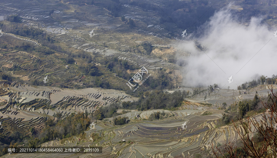 水墨梯田自然风光