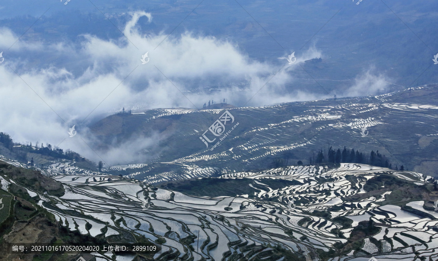 云南元阳蜿蜒梯田自然景观