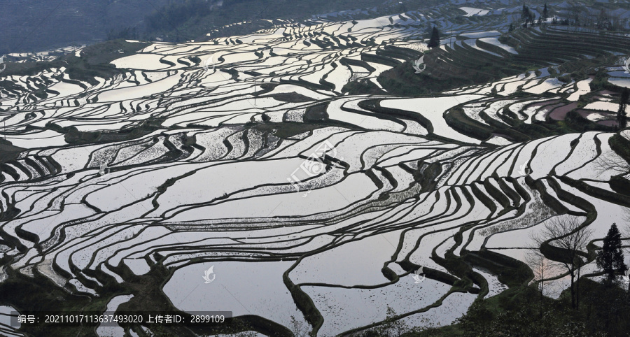 云南元阳梯田自然景观