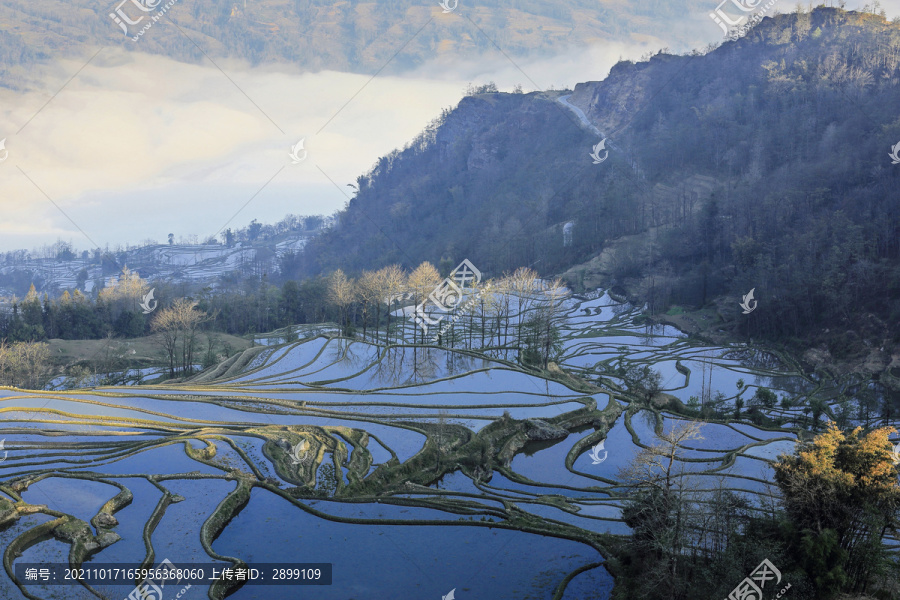 云雾日照蓝色蜿蜒梯田自然景观