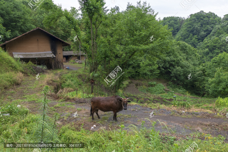 山里人家