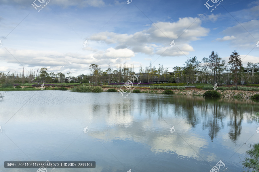 昆明草海湿地公园自然景观