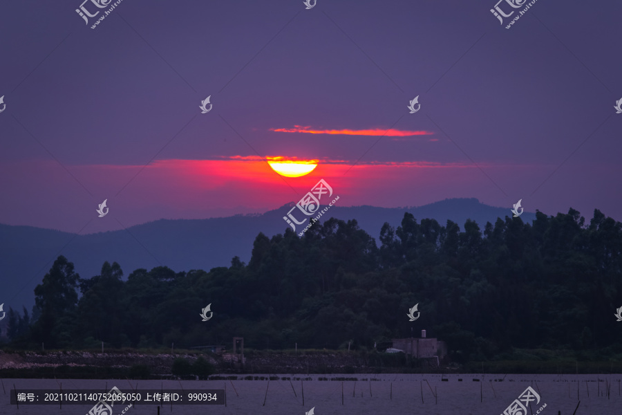 夕阳红