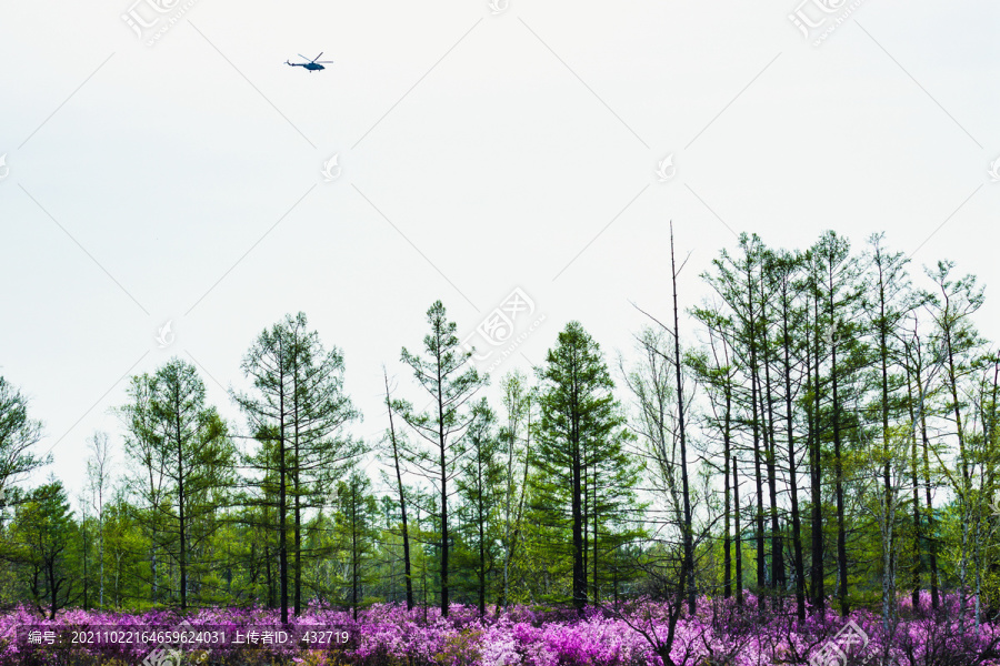 森林防火直升机