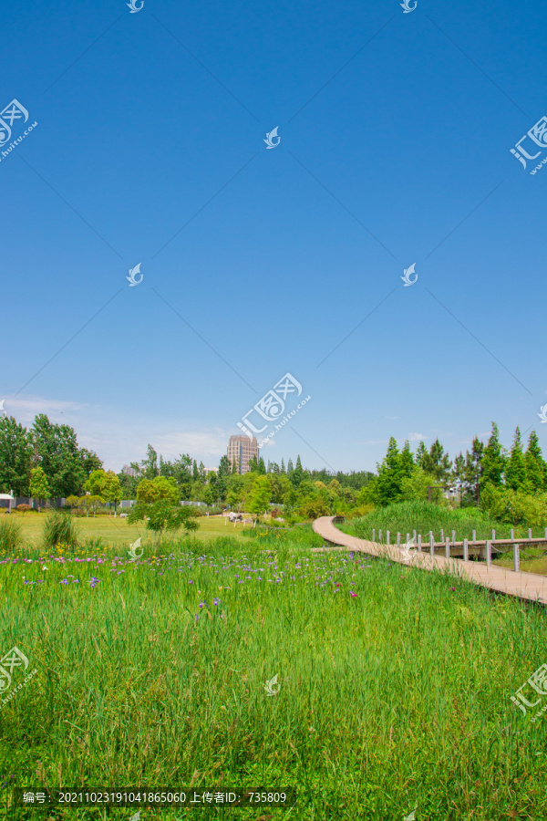 唯美夏季夏天夏日蓝天草地草丛