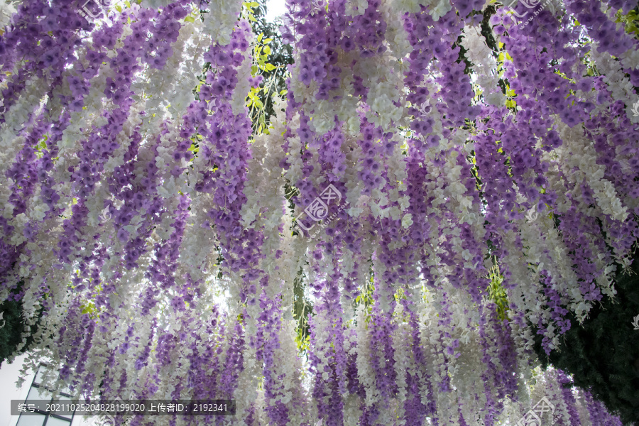 鲜花背景墙