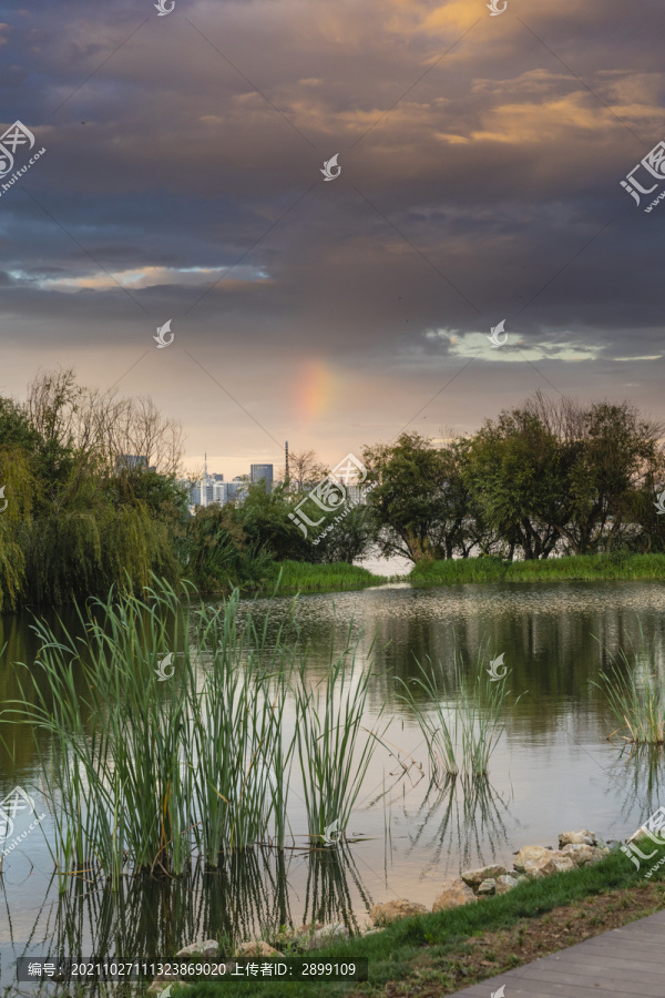 晚霞彩虹湿地自然景观