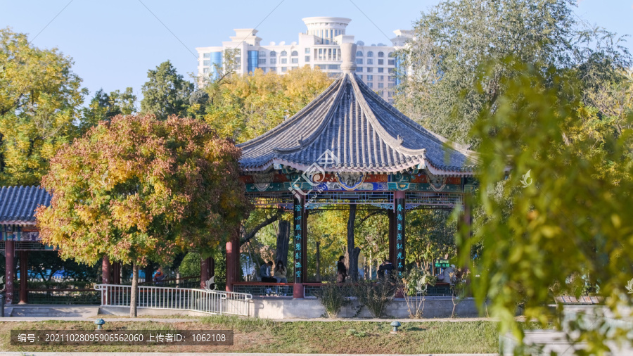 天津水上公园秋景