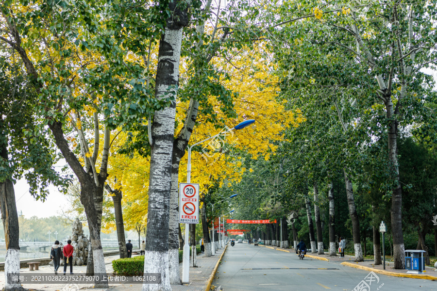 天津大学秋景