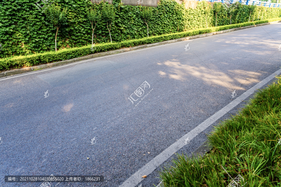 空旷无人的道路和绿色植物