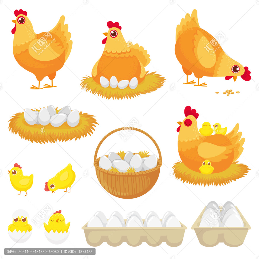 金黄母鸡孵蛋卡通插图