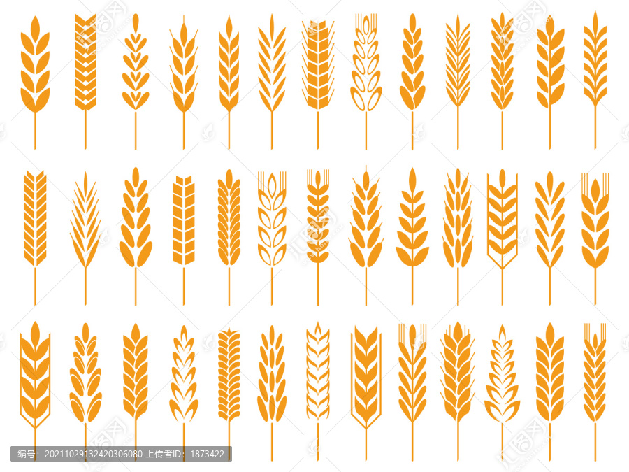 橘黄色小麦稻穗整齐排列元素
