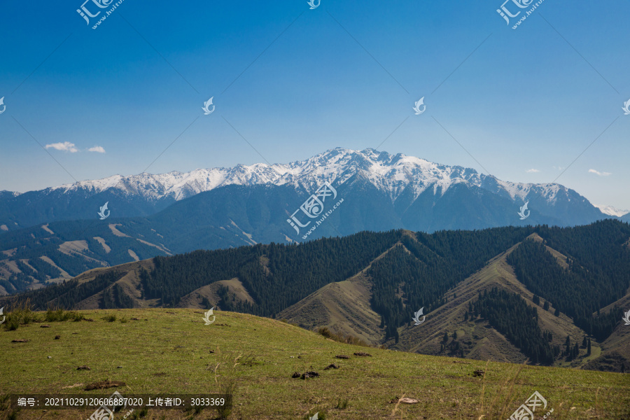 新疆南山之自然风景