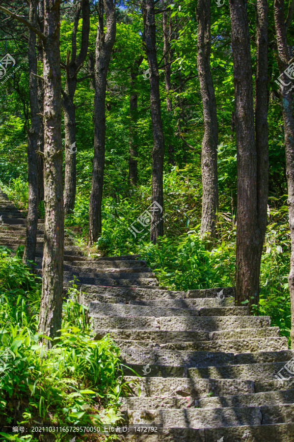 湖北黄冈罗田大别山薄刀锋风景区