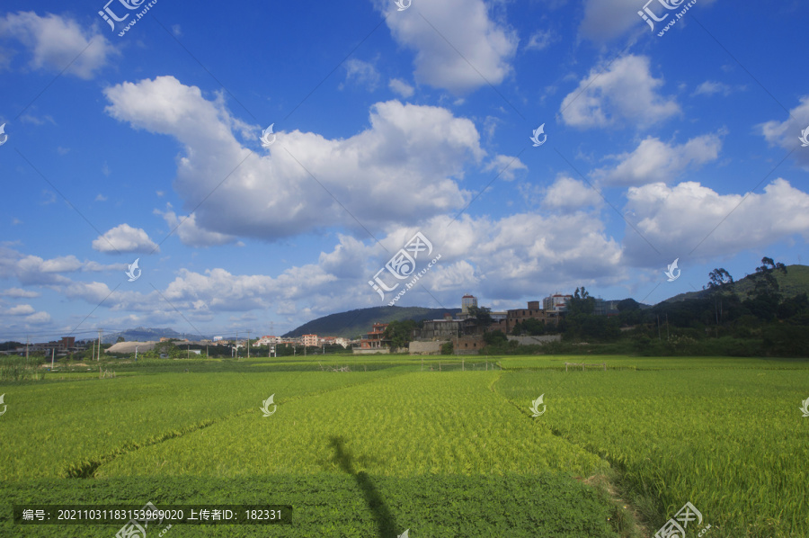 多云秋天绿土地