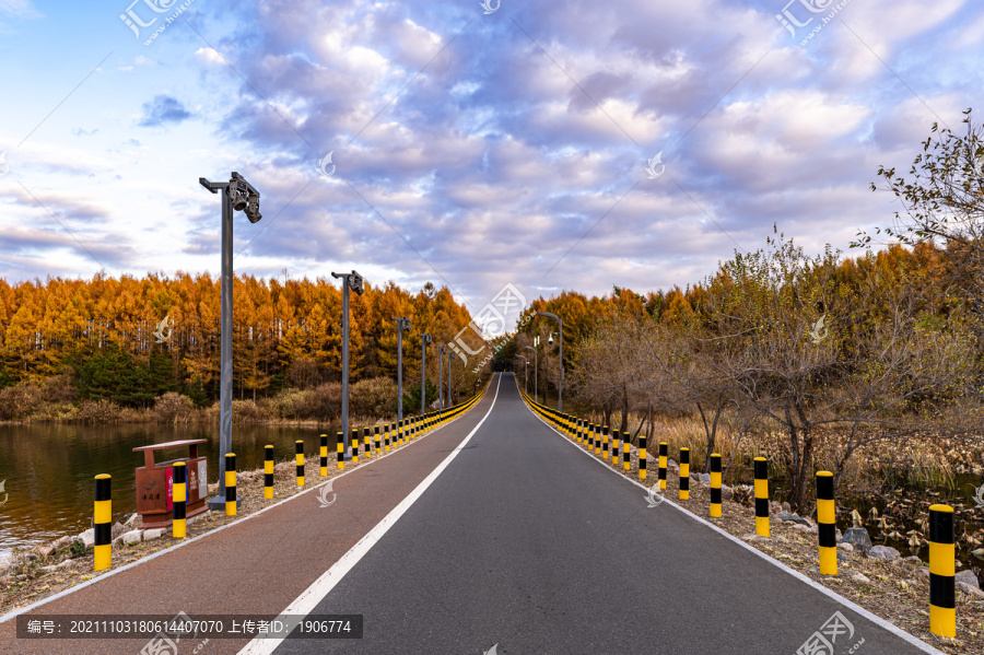 长春净月潭国家森林公园秋季风景