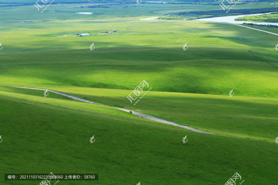 绿色牧场风景