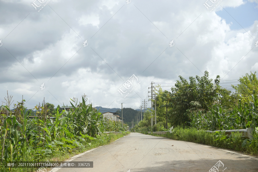 四川川东地区农村乡道及庄稼地