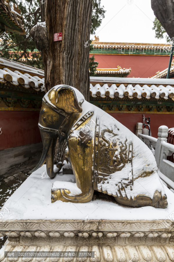 雪中的北京故宫御花园跪象