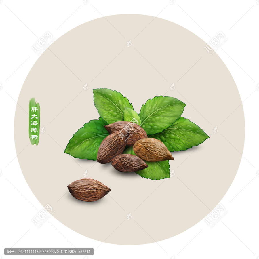 胖大海薄荷