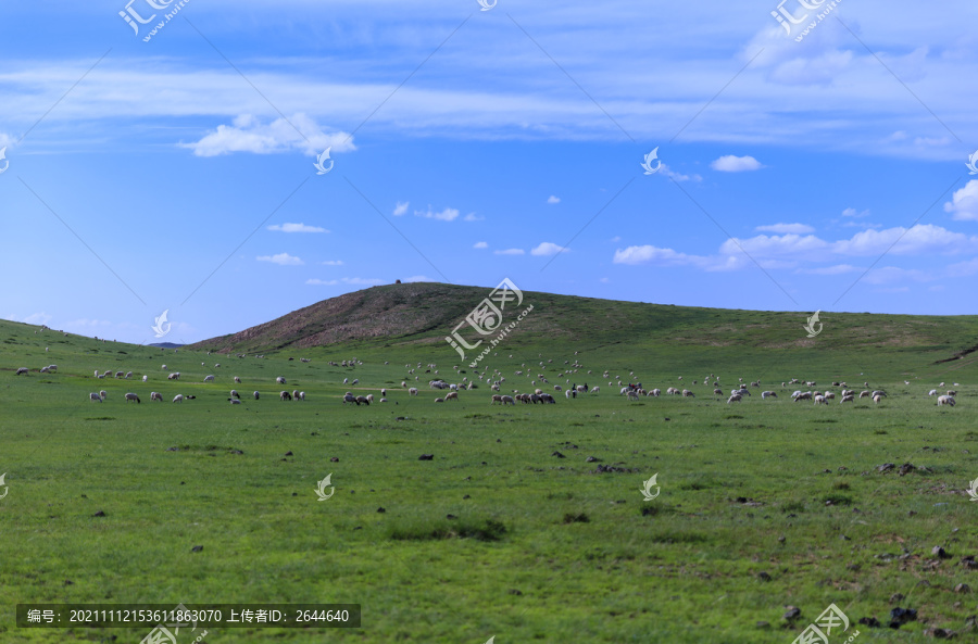 乌兰哈达火山草原