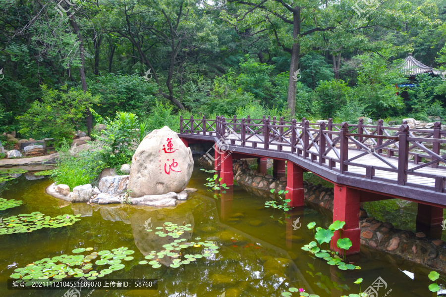 北戴河联峰山莲池风景