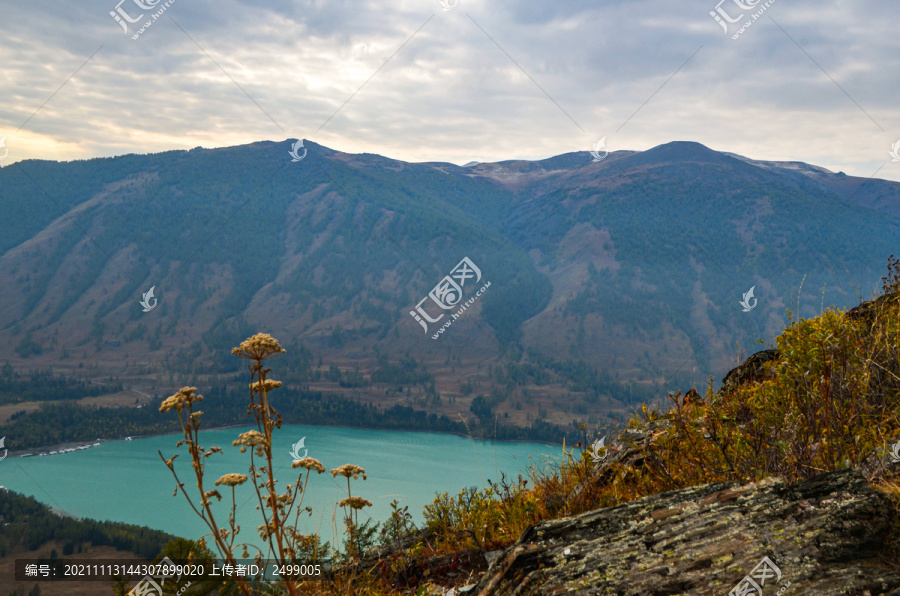 喀纳斯风景区