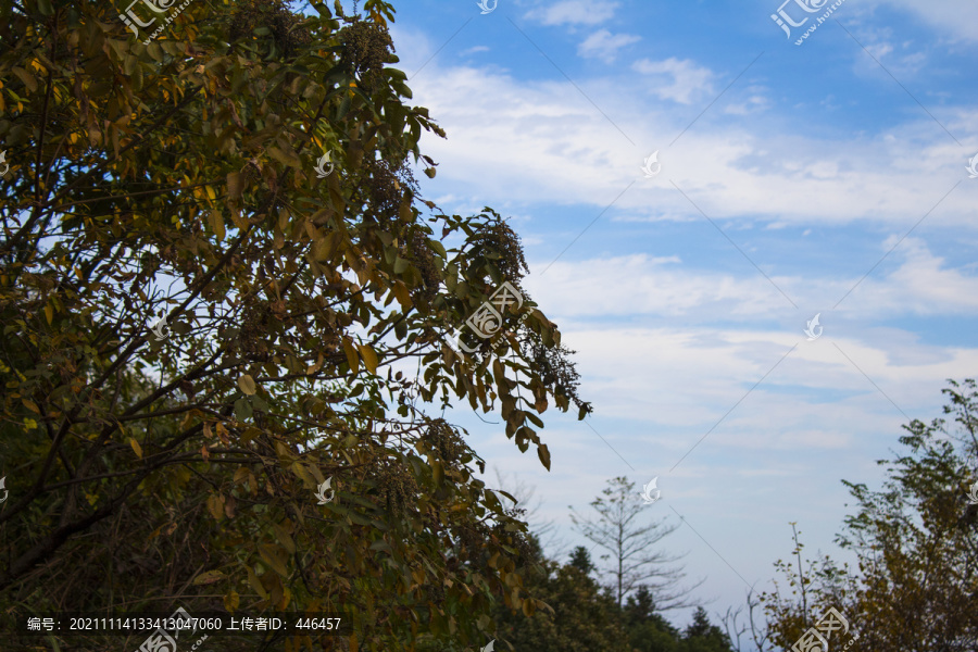 天空