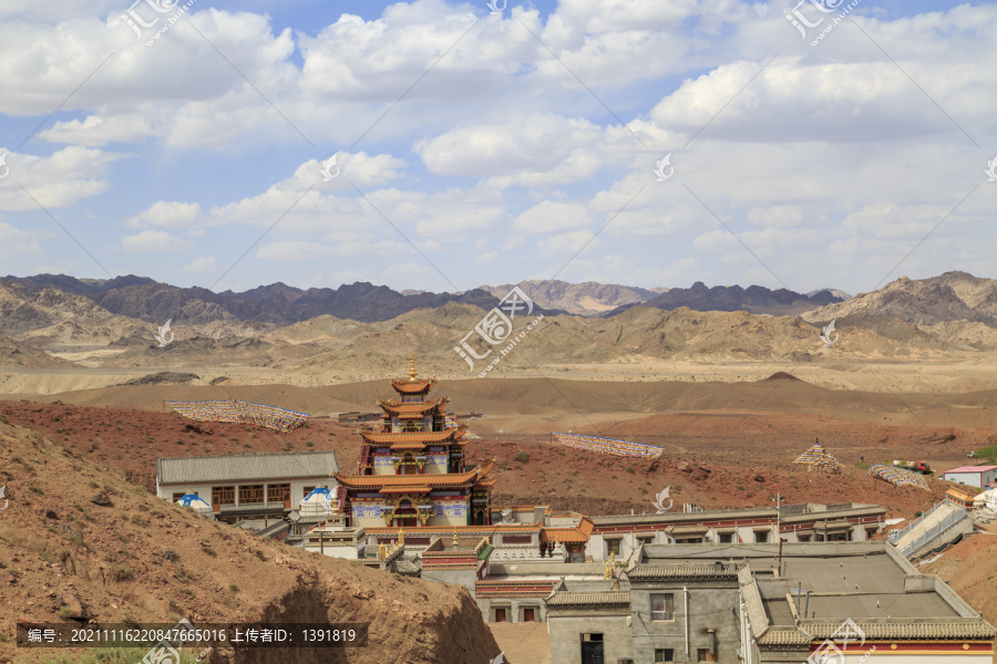 阿拉善左旗人根景区