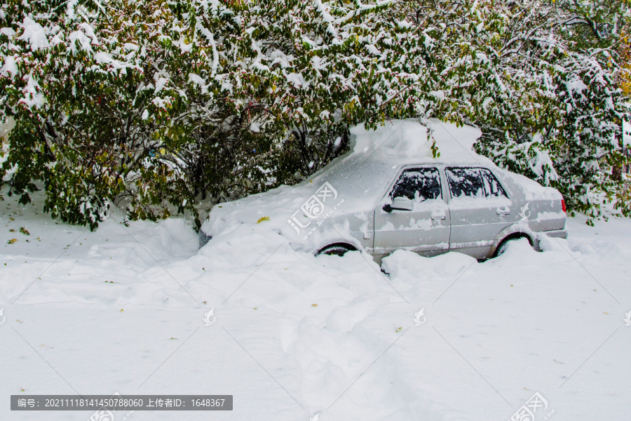 大雪覆盖的轿车与树枝雪挂雪地