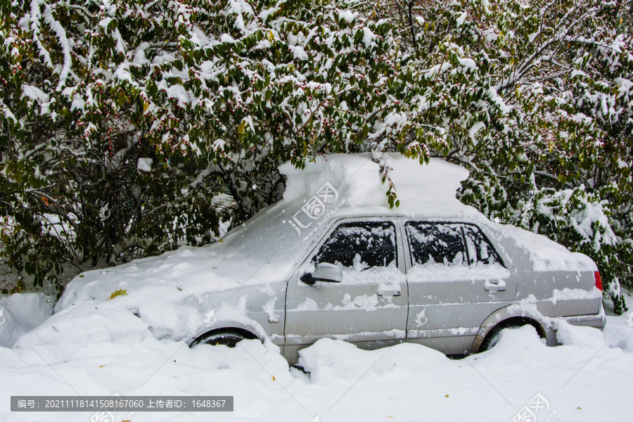 大雪覆盖的轿车与雪挂树枝雪地
