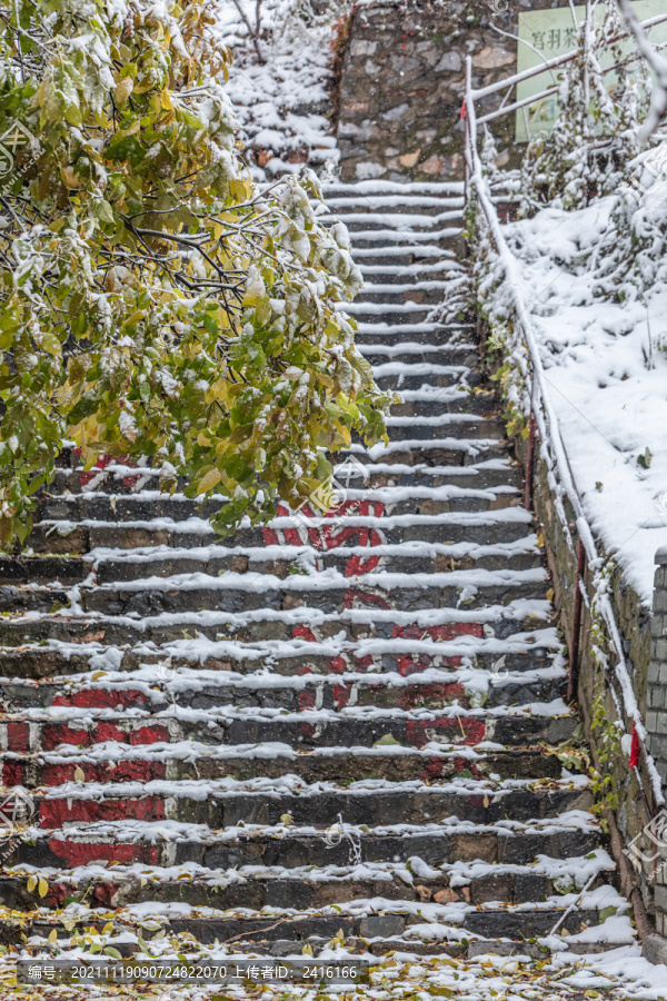 雪天枝叶