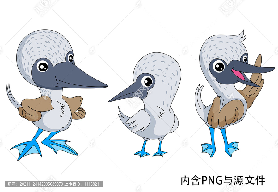 珍稀野生动物鲣鸟卡通形象