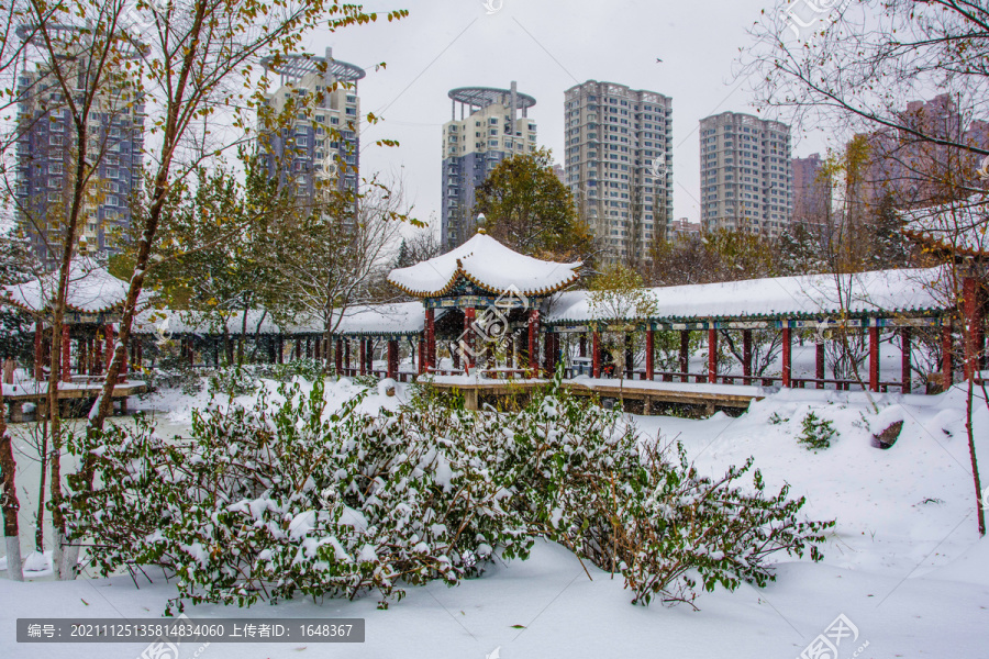 公园长廓凉亭树挂高层建筑雪景