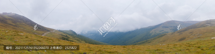 五台山高山草甸