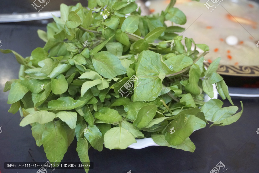 藏区牦牛肉火锅绿叶蔬菜豆瓣菜