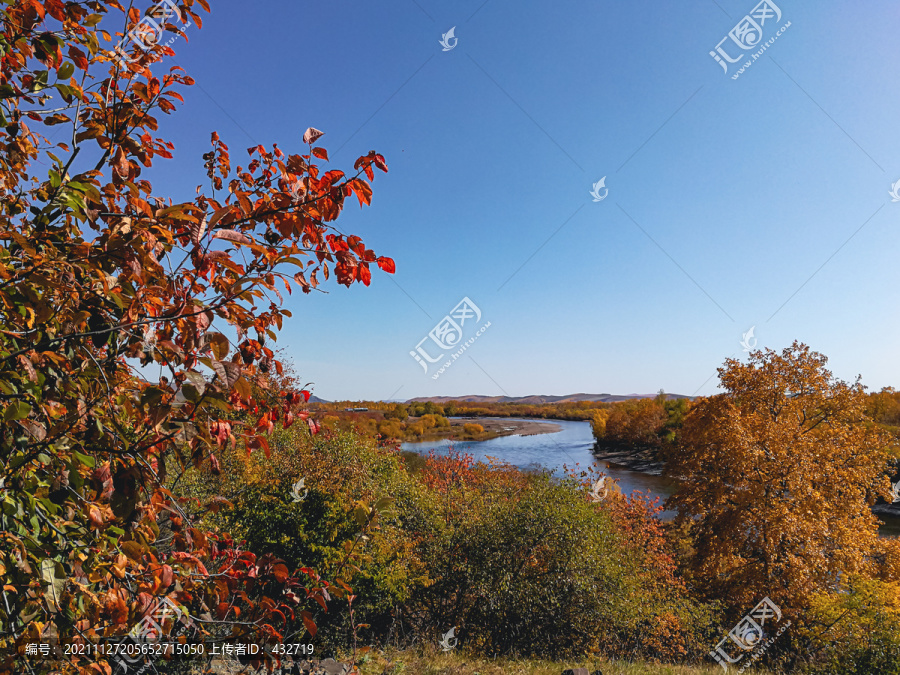 秋季天空河流树林