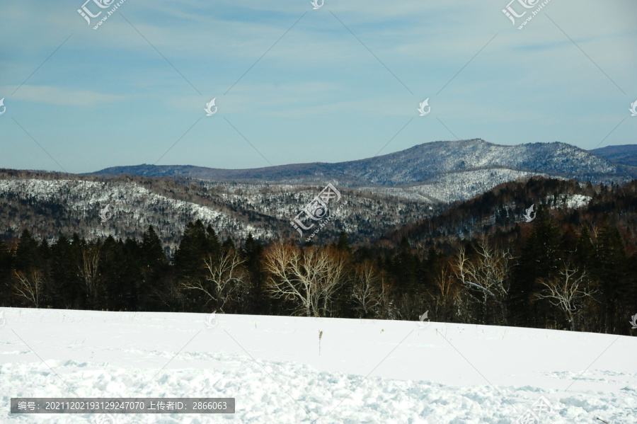 冬天晴朗天空下积满白雪的山坡