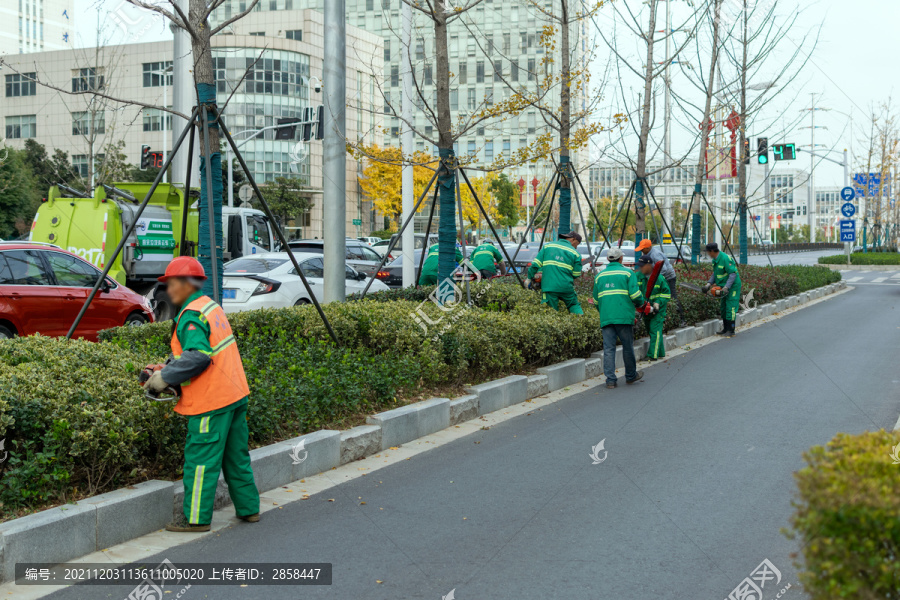 工人维护城市绿化带