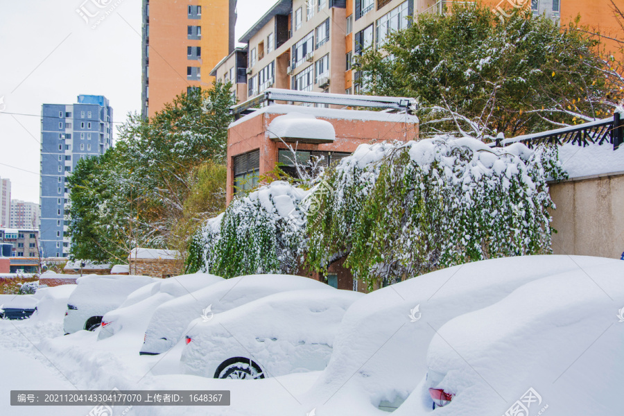 一排被雪覆盖的轿车与树与住宅