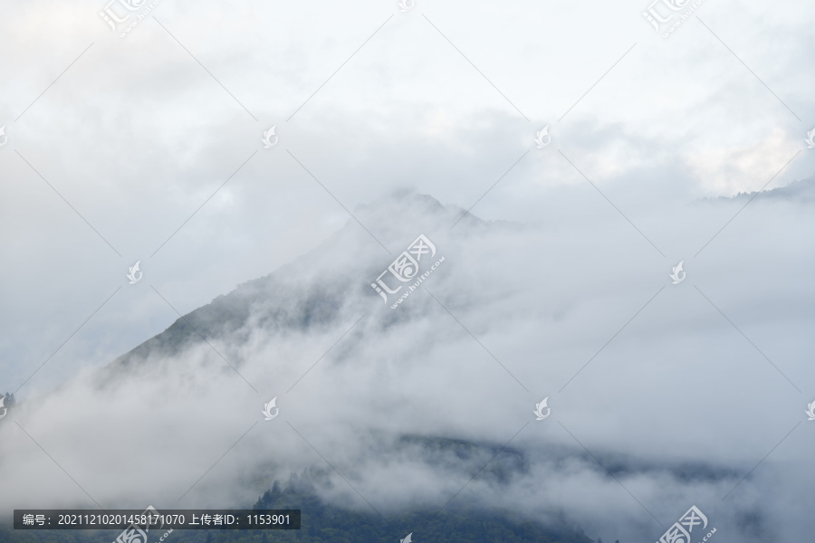 高山云雾