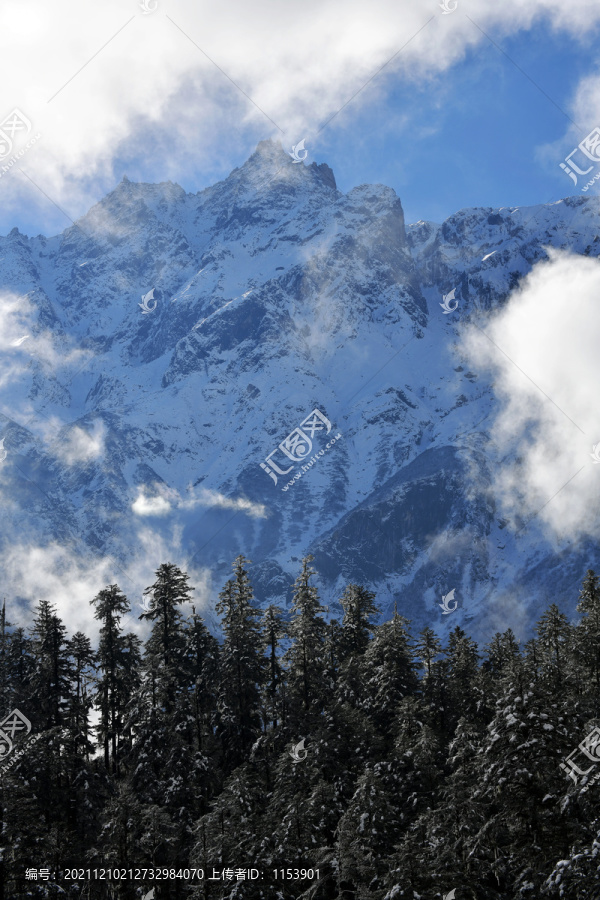 高山森林