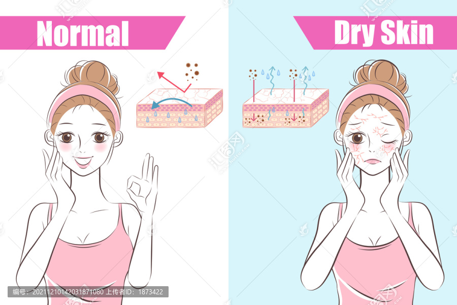 干肌与健康皮肤对比插图