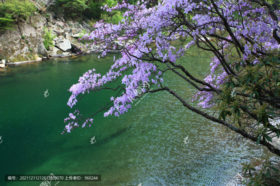 花海