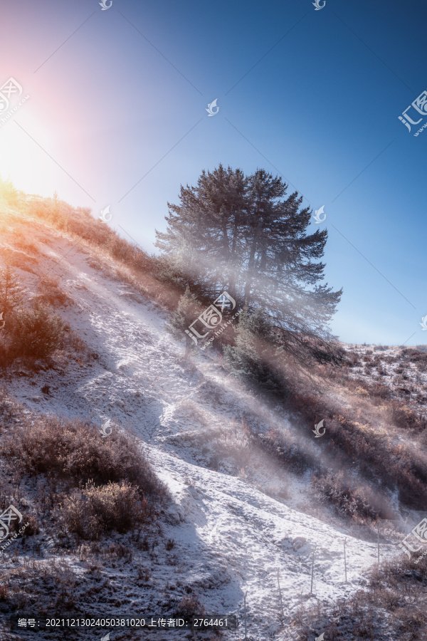 冬季的雪山雪地