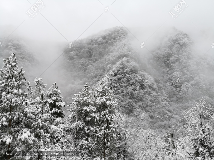 雪景