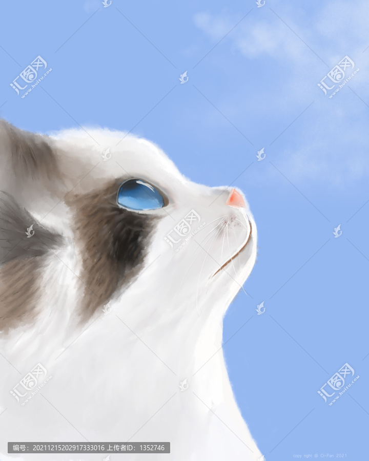 可爱猫咪插画