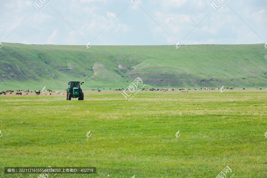 草原牧场拖拉机牛群马群