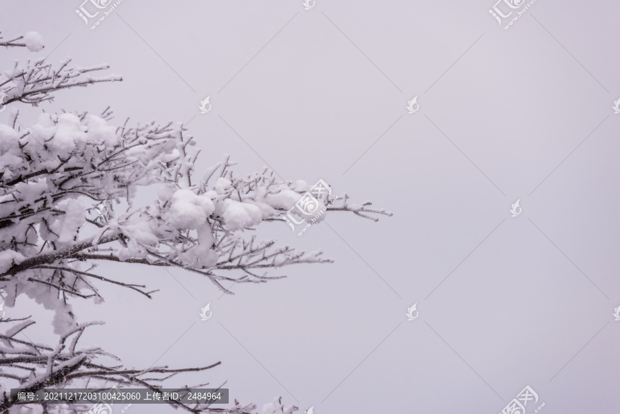 雪景